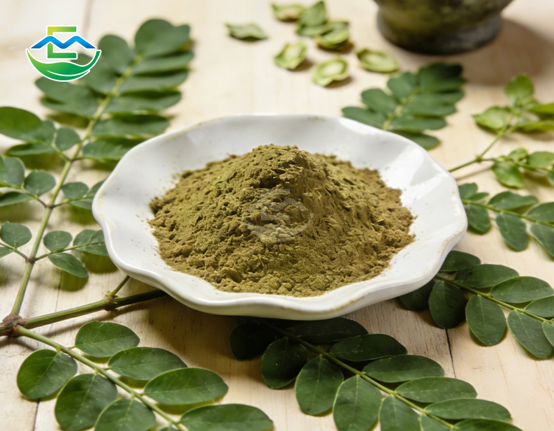 Pure Moringa Leaf Extract Powder Wholesale